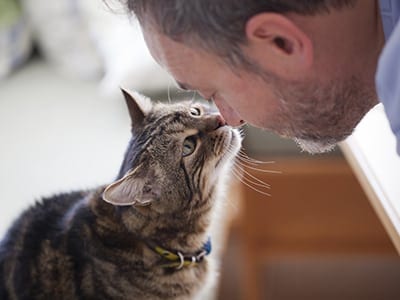 Man and cat touching noses together