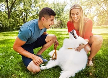 Young couple with their large white dog in the park