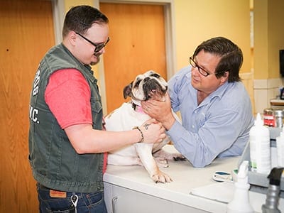 Dog Vaccinations in Miami, FL