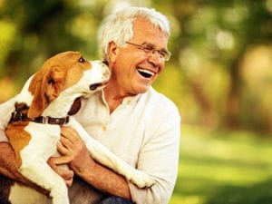 Dog and Cat Allergy Treatments in Miami, FL