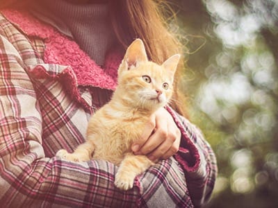 woman holding yellow kitten: Pet Helpful Links in Miami