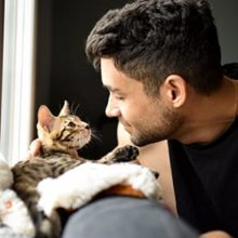 6 Tips for First Time Cat Owners in Miami, FL