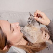 Cat Losing Hair: What Could Be Causing It? 